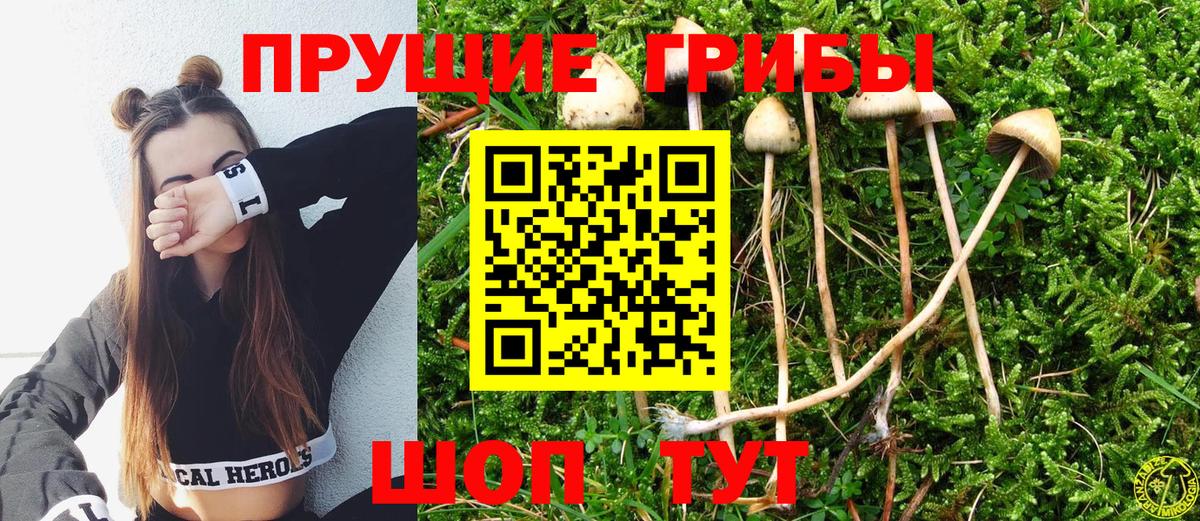 Псилоцибиновые грибы ЛСД  Вход с VPN  Рубцовск  Псилоцибиновые грибы Psilocybe 